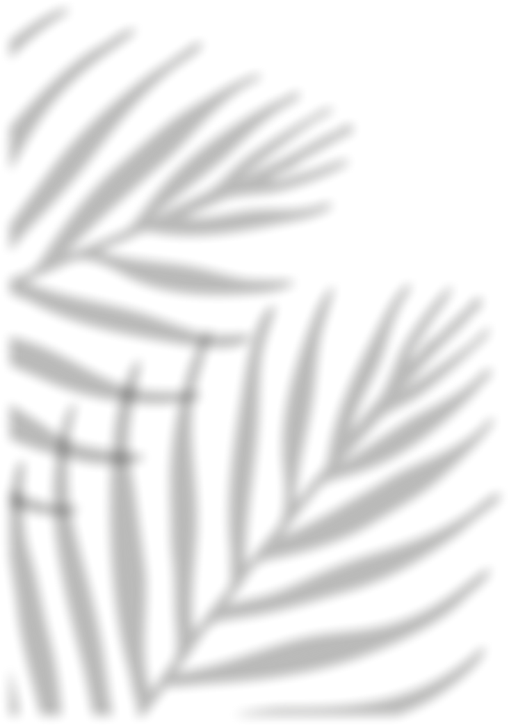Palm Shadow Corner